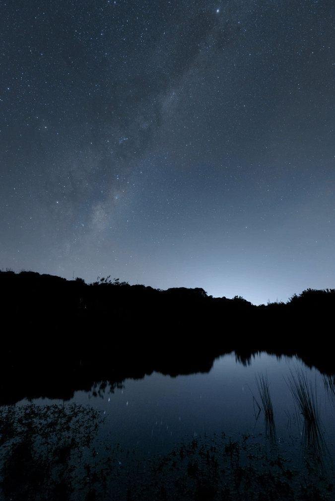 Milky Way over Mana Wetland